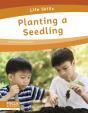 Planting A Seedling - Preview