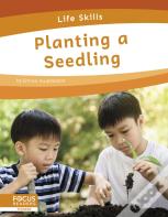 Planting A Seedling