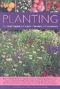 Planting For Visual Impact And Scent In Borders And Containers - Preview