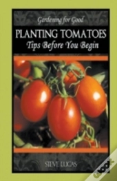 Planting Tomatoes