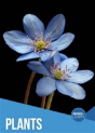 Plants - Preview