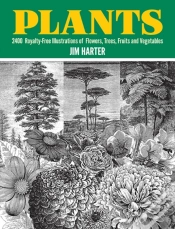 Capa do artigo Plants