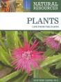 Plants - Preview