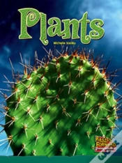 Capa do artigo Plants