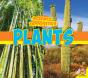 Plants - Preview