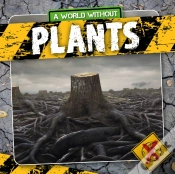 Capa do artigo Plants