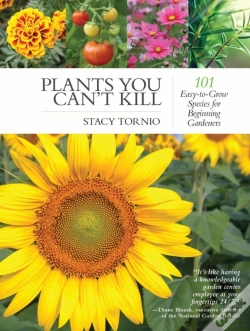Capa do artigo Plants You Can'T Kill