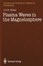 Plasma Waves In The Magnetosphere - Preview