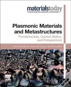 Capa do artigo Plasmonic Materials And Metastructures