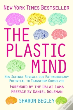 Capa do artigo Plastic Mind