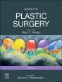 Plastic Surgery - E-Book - Preview