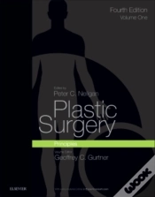 Capa do artigo Plastic Surgery