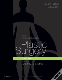 Capa do artigo Plastic Surgery