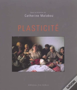 Capa do artigo Plasticite