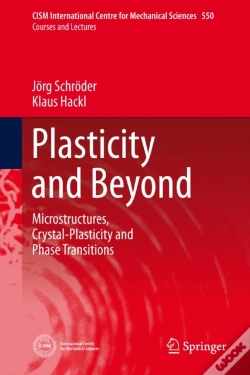 Capa do artigo Plasticity And Beyond