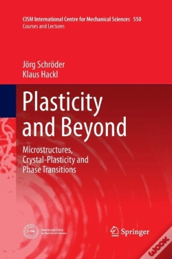 Capa do artigo Plasticity And Beyond