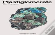 Plastiglomerate
