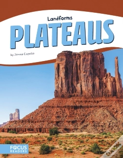 Capa do artigo Plateaus