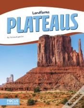 Capa do artigo Plateaus