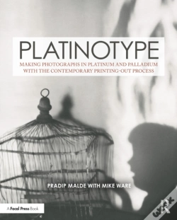 Capa do artigo Platinotype