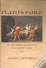 Capa do artigo Plato