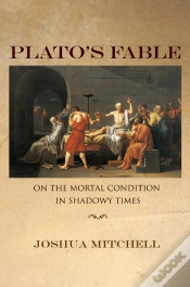 Capa do artigo Plato