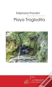 Capa do artigo Playa Troglodita