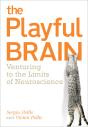 Playful Brain - Preview