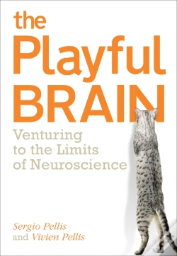Capa do artigo Playful Brain