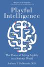 Playful Intelligence - Preview
