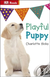 Capa do artigo Playful Puppy