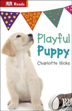 Capa do artigo Playful Puppy