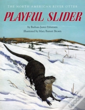 Capa do artigo Playful Slider
