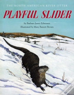 Capa do artigo Playful Slider