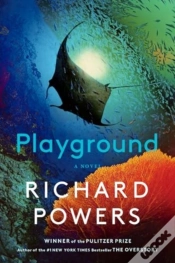 Capa do artigo Playground