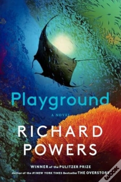 Capa do artigo Playground