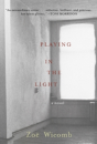 Playing In The Light - Preview