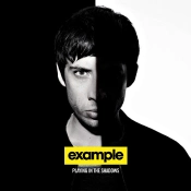 Capa do artigo Playing In The Shadows - CD