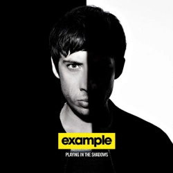 Capa do artigo Playing In The Shadows - CD