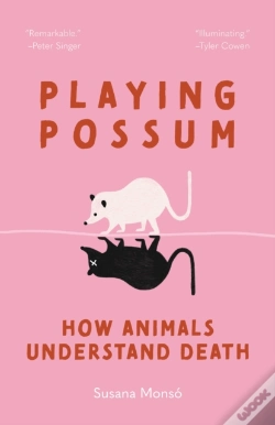 Capa do artigo Playing Possum