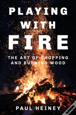 Capa do artigo Playing With Fire