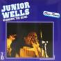 Pleading the Blues - Vinil - Preview