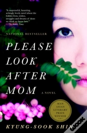 Capa do artigo Please Look After Mom
