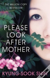 Capa do artigo Please Look After Mother