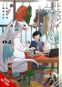 Capa do artigo Please Look After The Dragon, Vol. 2