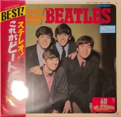 Capa do artigo Please Please Me - Vinil