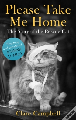 Capa do artigo Please Take Me Home