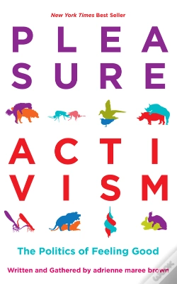 Capa do artigo Pleasure Activism