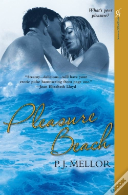Capa do artigo Pleasure Beach