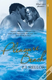 Capa do artigo Pleasure Beach